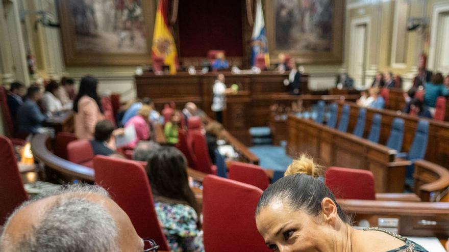 La diputada socialista Patricia Hernández habla con el líder de ASG, Casimiro Curbelo, ante de la sesión plenaria. | | MARÍA PISACA