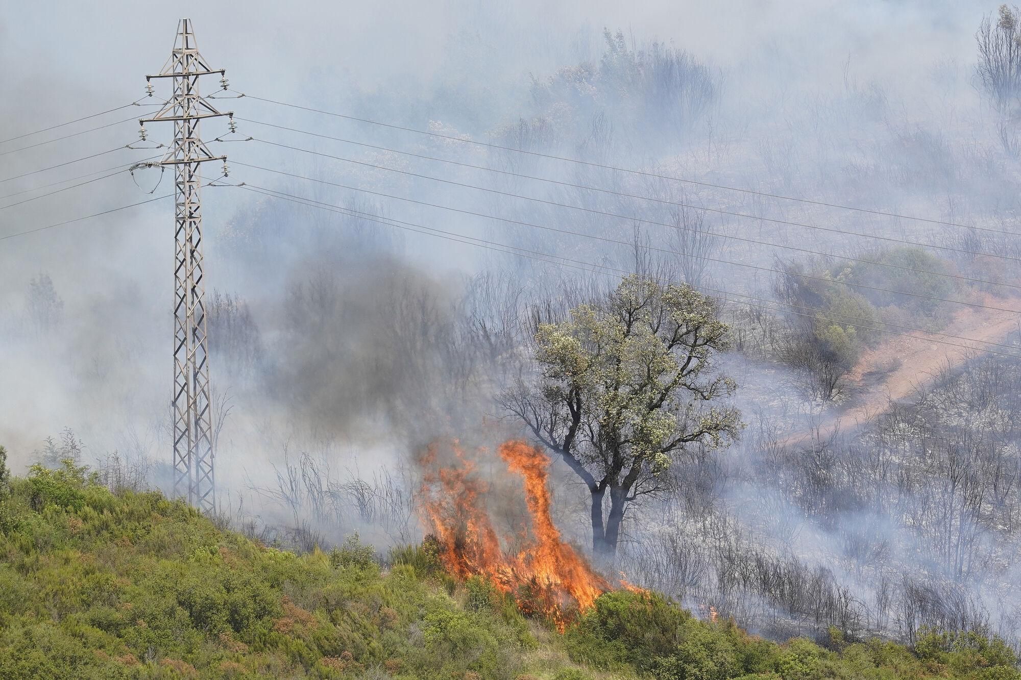 Girona zona boscosa font de la pólvora sant Daniel incendi forestal