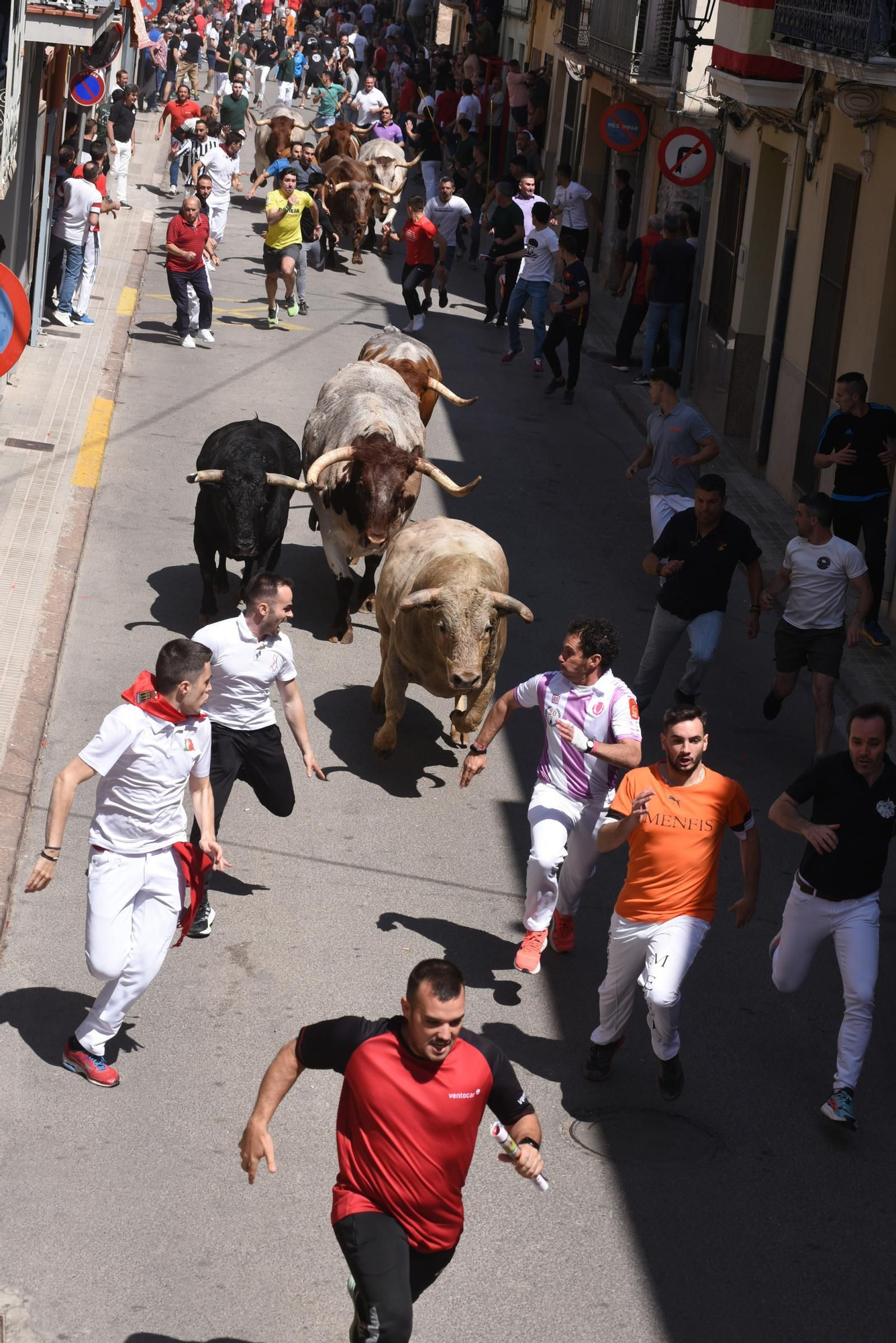 MACROGALERÍA DE FOTOS: Búscate en el encierro y los primeros 'bous' de las fiestas de Almassora