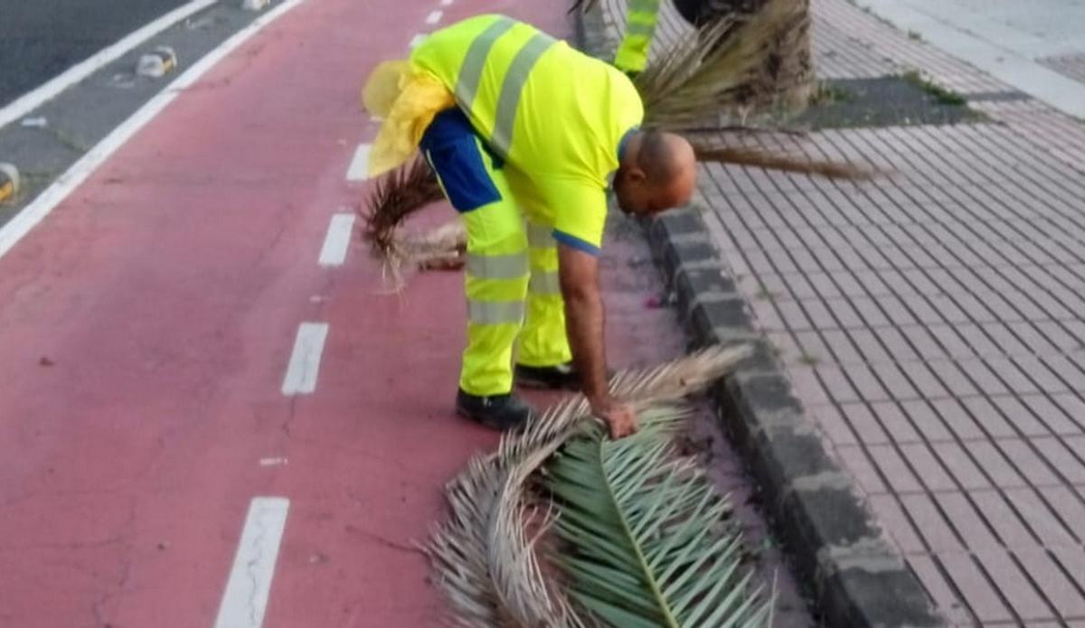 Imagen de los Servicios de Limpieza del Ayuntamiento de Las Palmas de Gran Canaria.