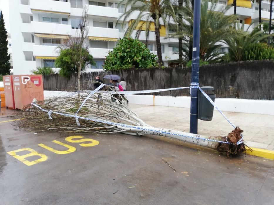 Persiste el mal tiempo en lbiza y Formentera