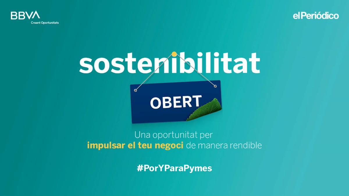 Sostenibilidad: una oportunidad para impulsar tu negocio de forma rentable.