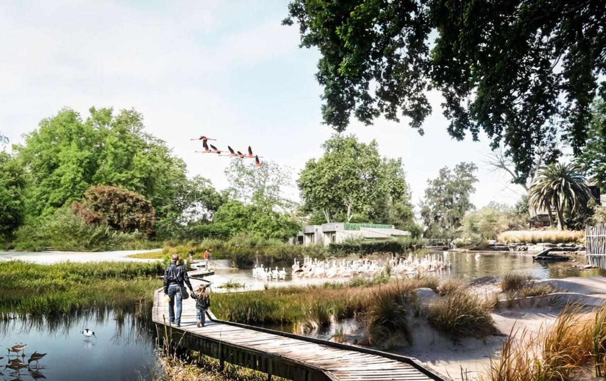 El zoo projecta reduir espècies i ajuntar-les en grans hàbitats El zoo projecta reduir espècies i ajuntar-les en grans hàbitats