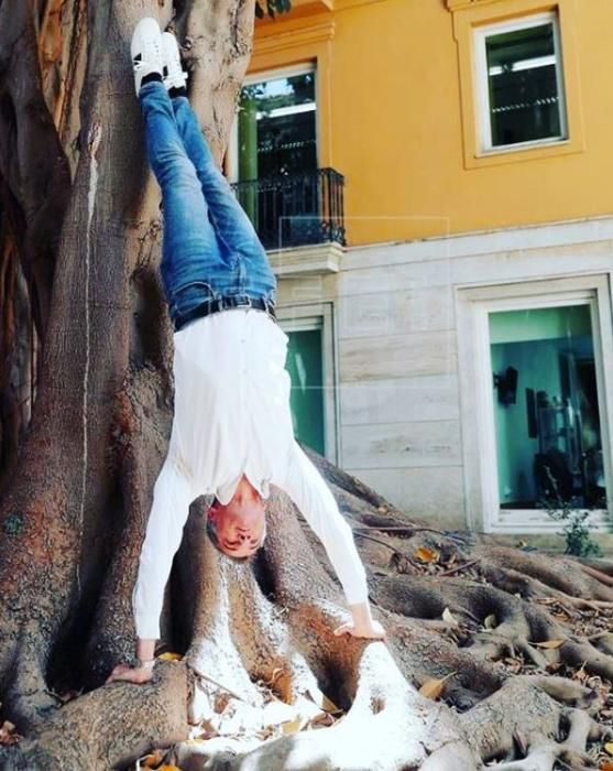 Toni Cantó realiza una acrobacia en el ficus de Les Corts