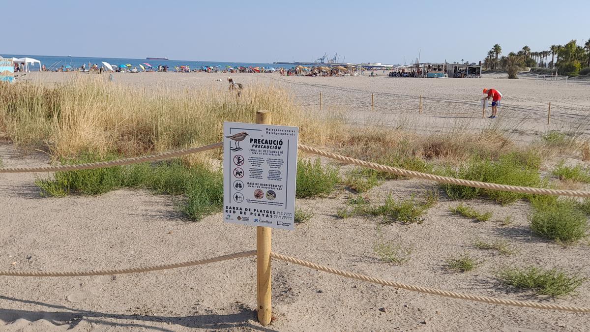 Playas con protección para los chorlitejos