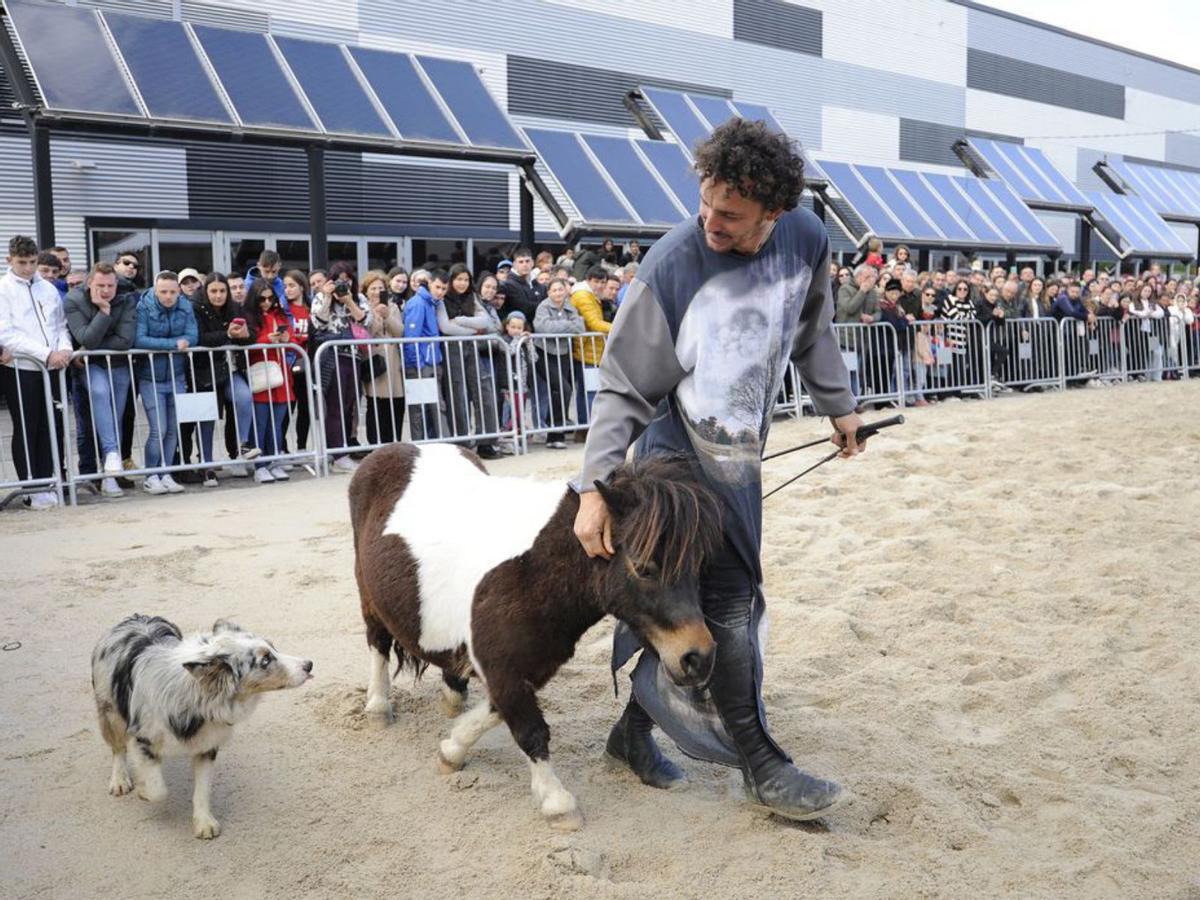 Éxito de la Feira do Cabalo de Lalín: 900 animales en pista