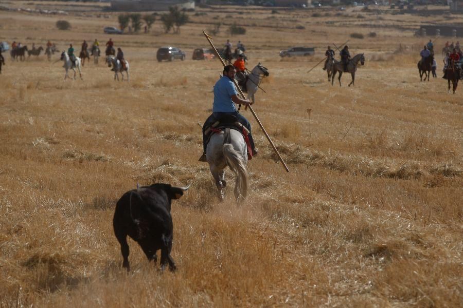 Fiestas en Zamora: Espante en Pereruela