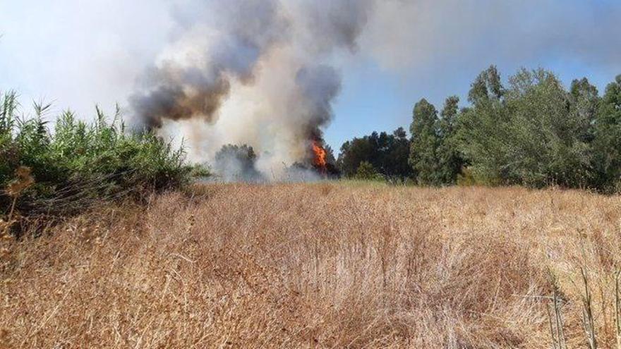 Alerta roja por riesgo de incendios forestales en Prepirineo Oriental y Somontano Oriental