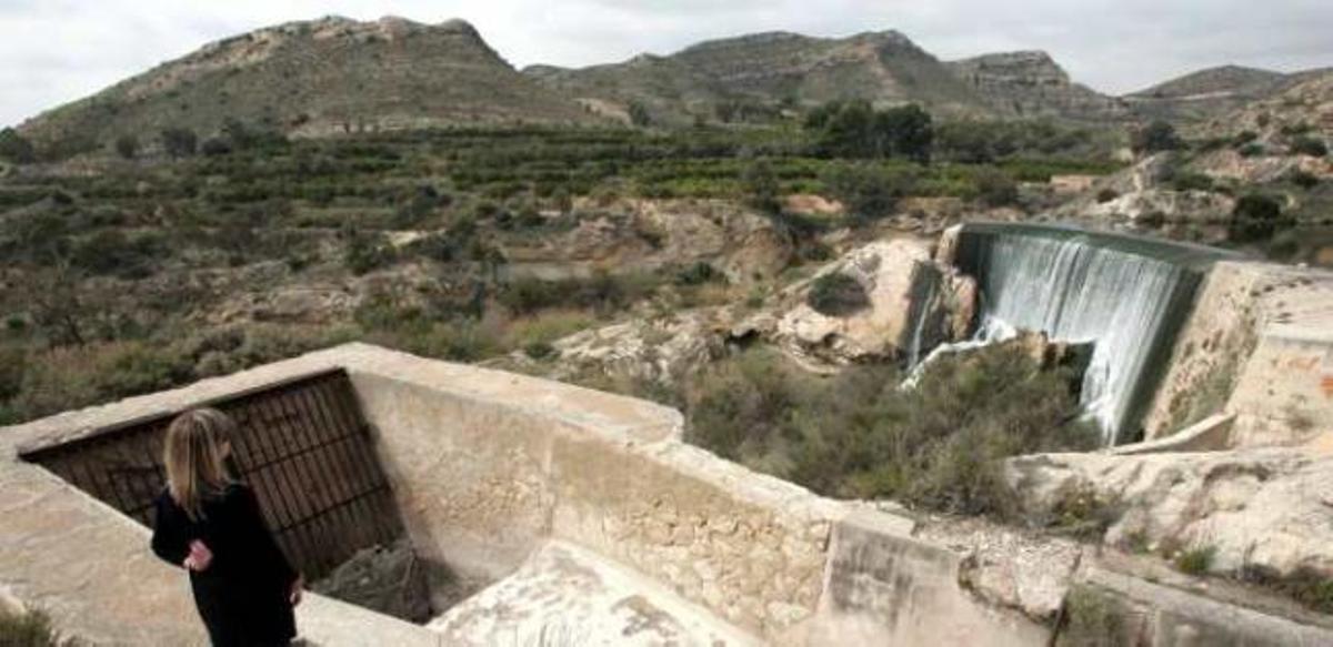 El Pantano de Elche, una zona que se regenerará en breve.