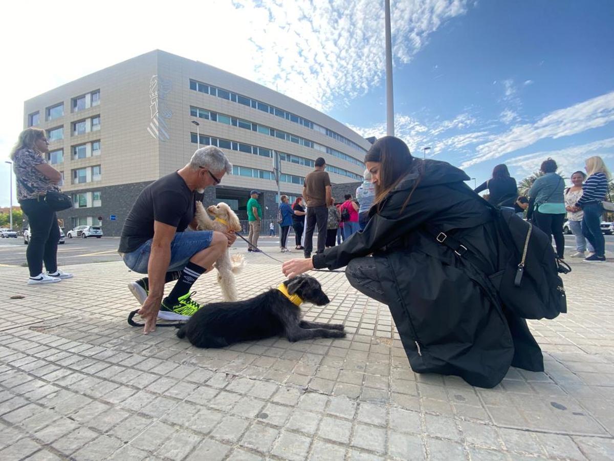 Animalistas junto a sus animales compañías para reclamar justicia para Ragnar