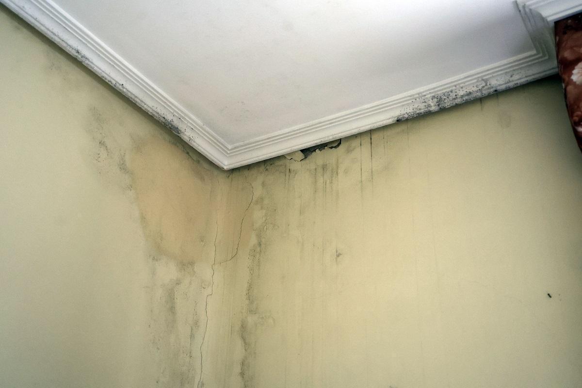 Filtraciones en el interior de una vivienda.
