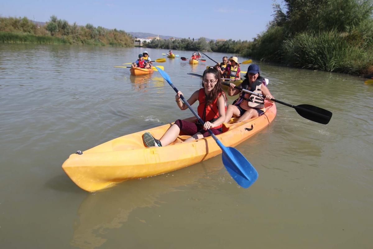 Un caimán por el Guadalquivir