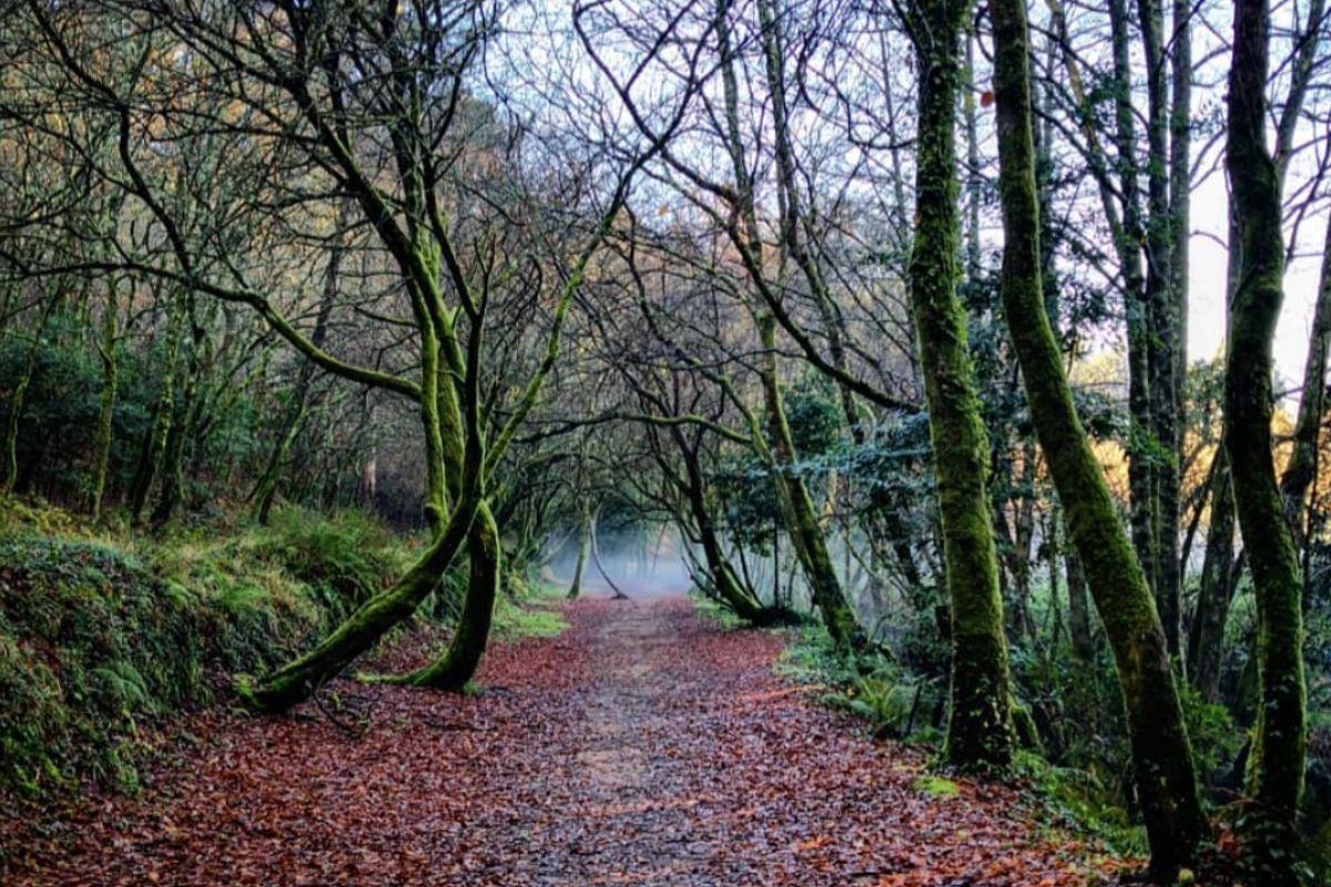 Uno de los tramos de la Ruta da Pedra e da Auga de Meis.
