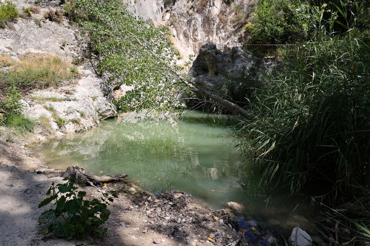 El Racó de Sant Bonaventura de Alcoy presenta poca agua y muy estancada