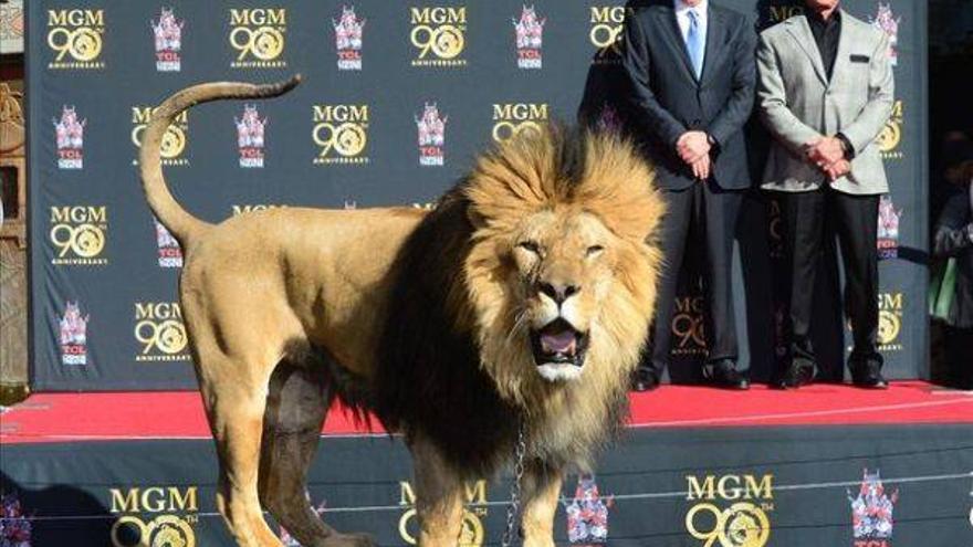 La Metro-Goldwyn-Mayer deja la huella de su león en Hollywood