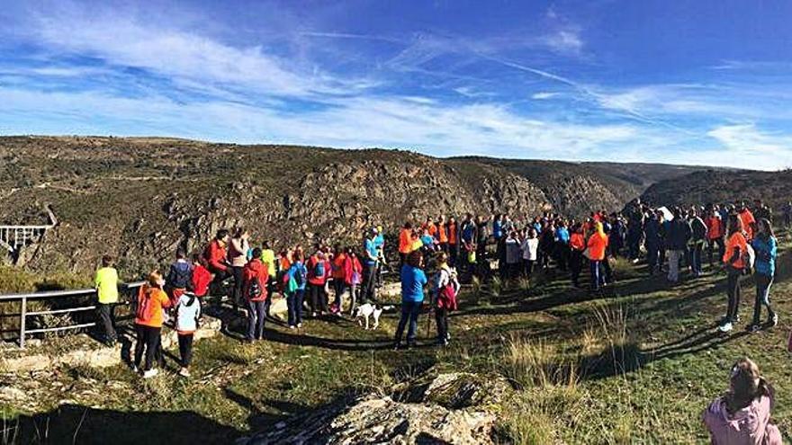 Los participantes en su paseo paisajístico por el término de Villadepera.