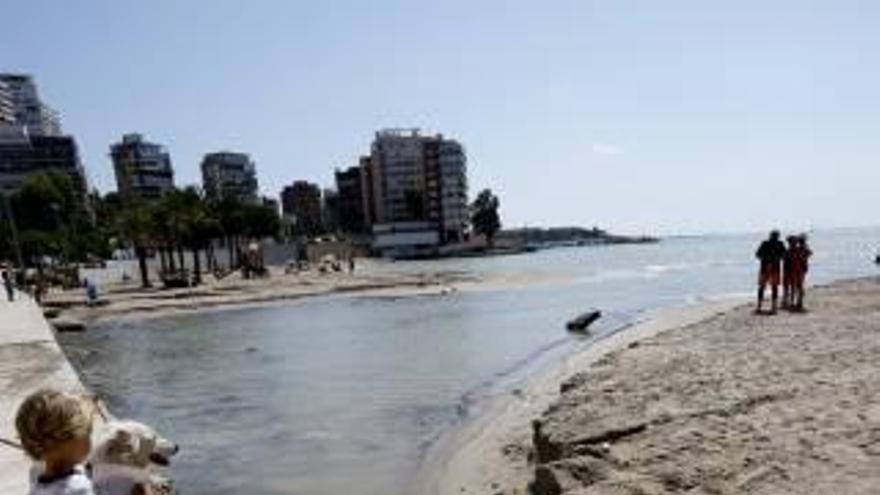 La playa de la Albufereta dividida en dos