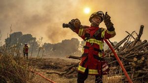Els bombers estabilitzen el gran incendi forestal de Narbona