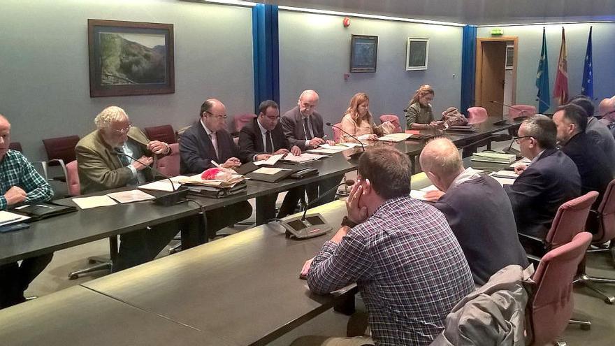 La reunión de la comisión de coordinación, esta mañana, en Oviedo.