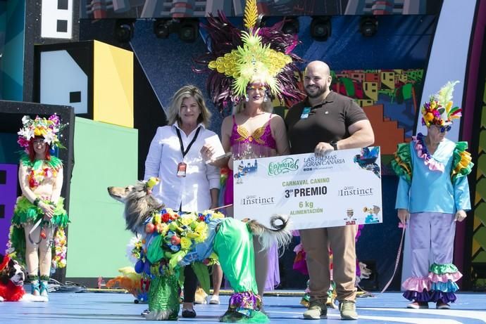 24.02.19. Las Palmas de Gran Canaria. Carnaval 2019. Concurso Carnaval Canino 2019. Monica Svenson, presenta a Zafiro, con la fantasía "Tuttifrutti". Foto Quique Curbelo