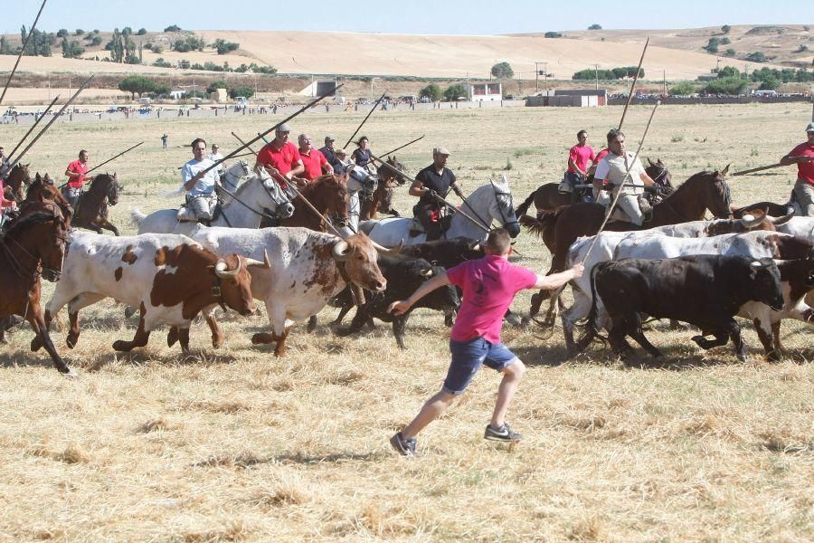 Fiestas en Zamora: Segudos espantes de Fuentesaúco