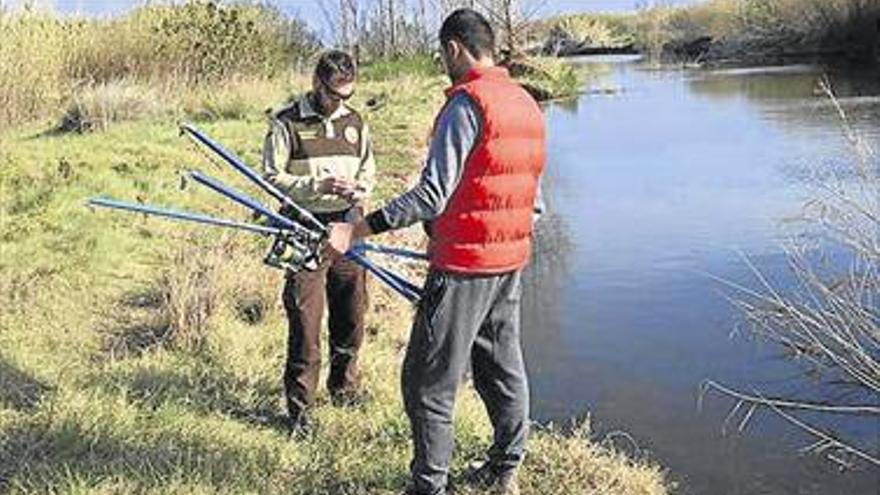 Veda de pesca en el Millars per nidificació d’aus Durant la primavera i l’estiu