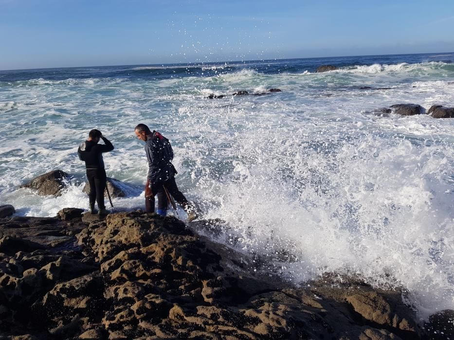 Los percebeiros, esta mañana en A Costa da Vela