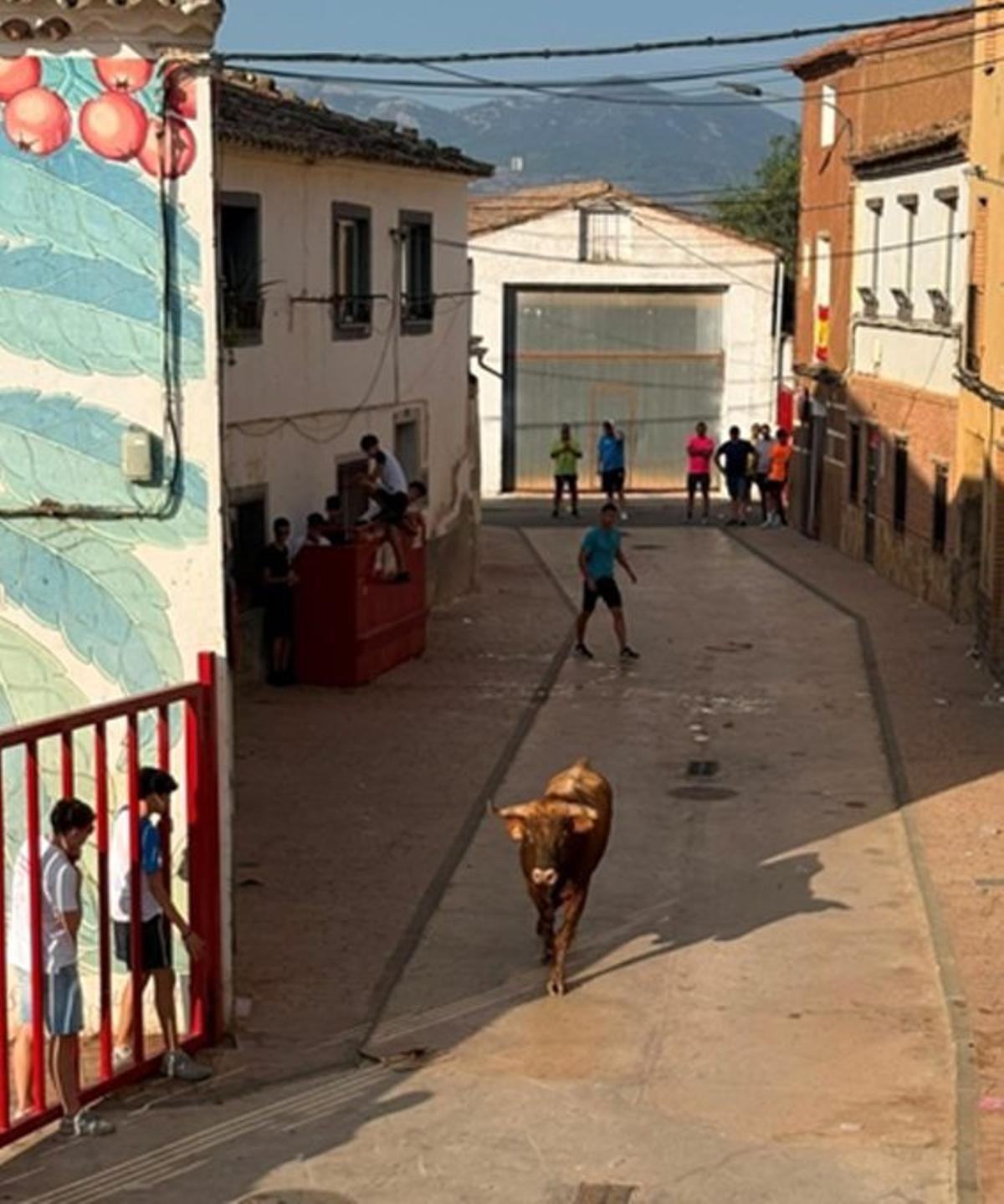 Los vecinos disfrutaron de una amplia y variada programación.  | S.E: