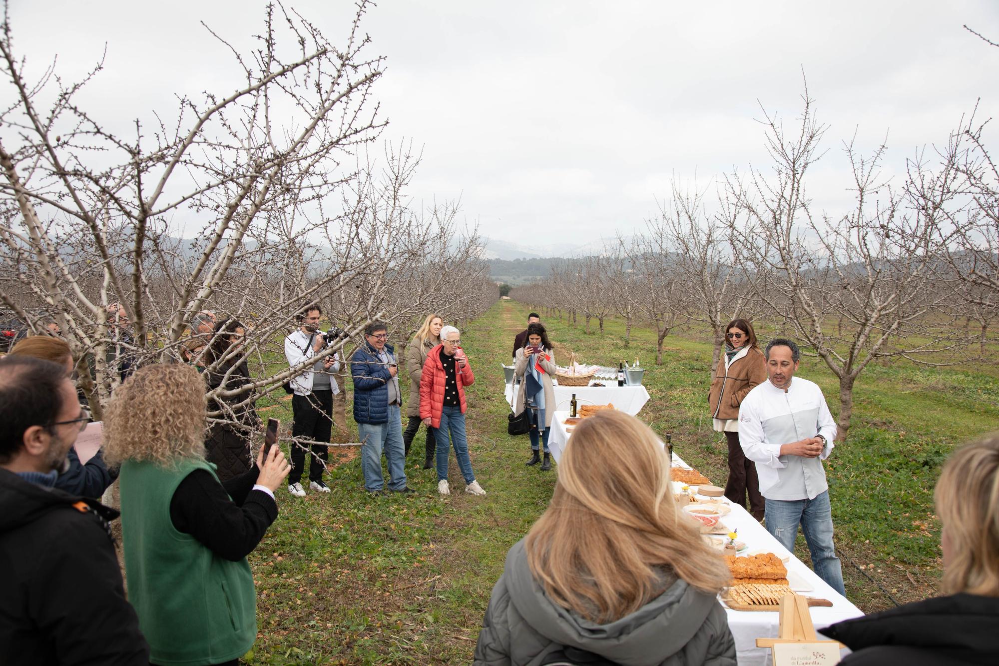 as cooperativas agroalimentarias impulsan una experiencia que aúna agricultura y turismo en una finca de almendros