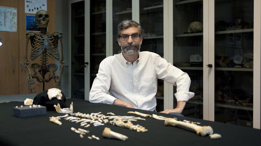 Un esqueleto del Sidrón revela que los neandertales tardaban más en crecer