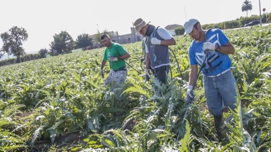 Agricultores de La Murada urgen retomar el proyecto para regar con agua de acuífero