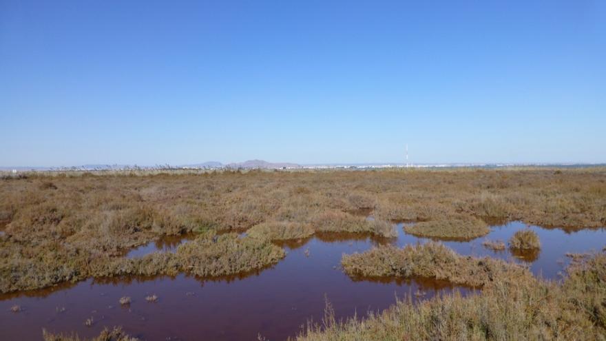 Luz verde a la investigación hidrogeológica en el humedal de El Carmolí