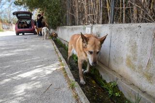 ¿Por qué una fuga en Badalona sigue perdiendo miles de litros de agua al día en plena sequía?