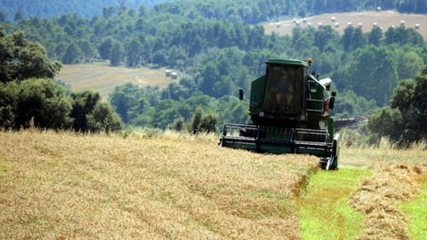 Una màquina segant un camp al terme d&#039;Avià.