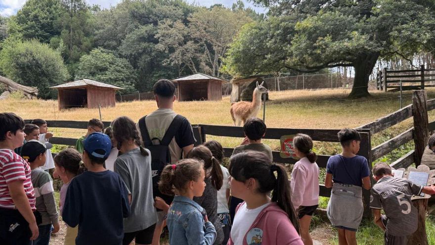 Los niños y niñas de Concilia Verán de Rodeiro visitan la fauna de Marcelle |