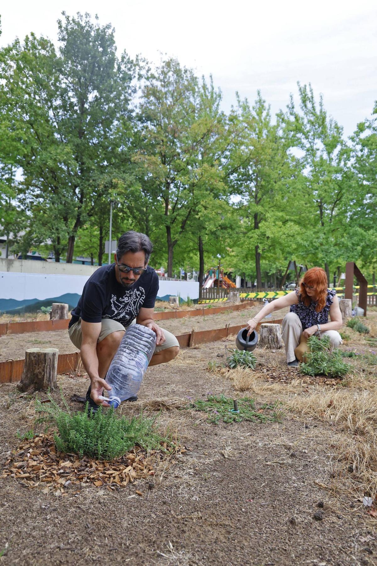Les imatges del jardí de ratafia de Girona Les imatges del jardí de ratafia de Girona