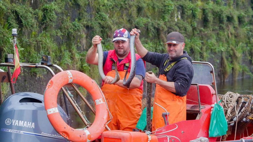 Los pescadores más afortunados ayer lograron capturar tres piezas. |   // IÑAKI ABELLA