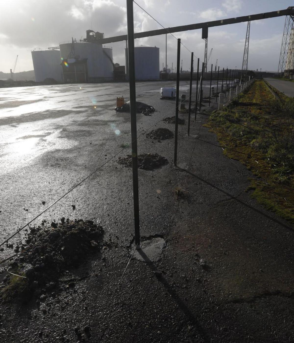 El nuevo vallado que instala Windar a  lo largo de todo el muelle de la antigua Alcoa. | Ricardo Solís.