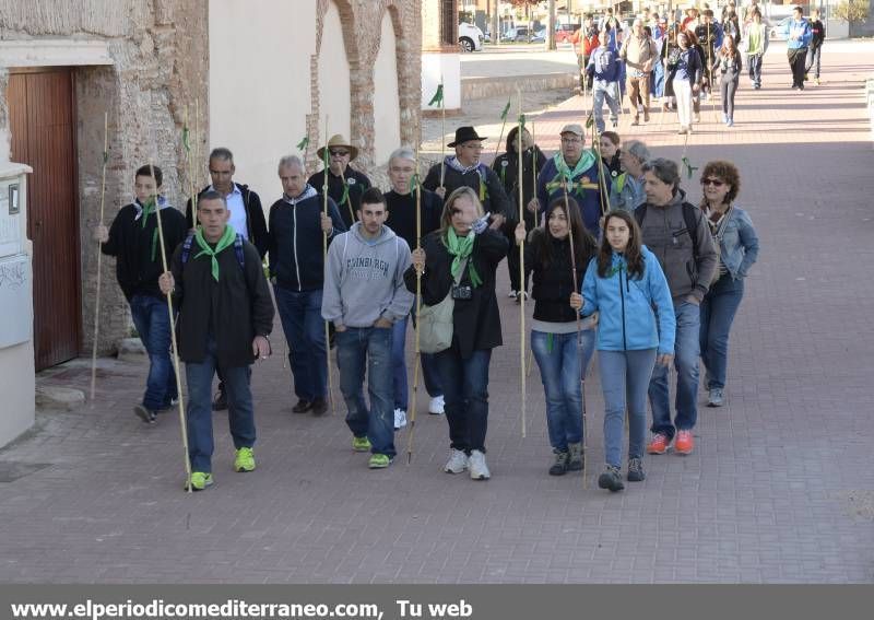 GALERÍA DE FOTOS -  Romería Magdalena 2014 (1)