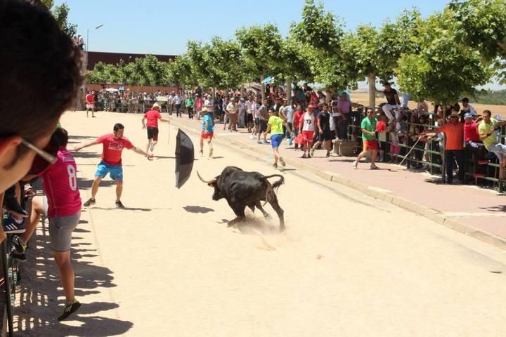 Espantes de Guarrate