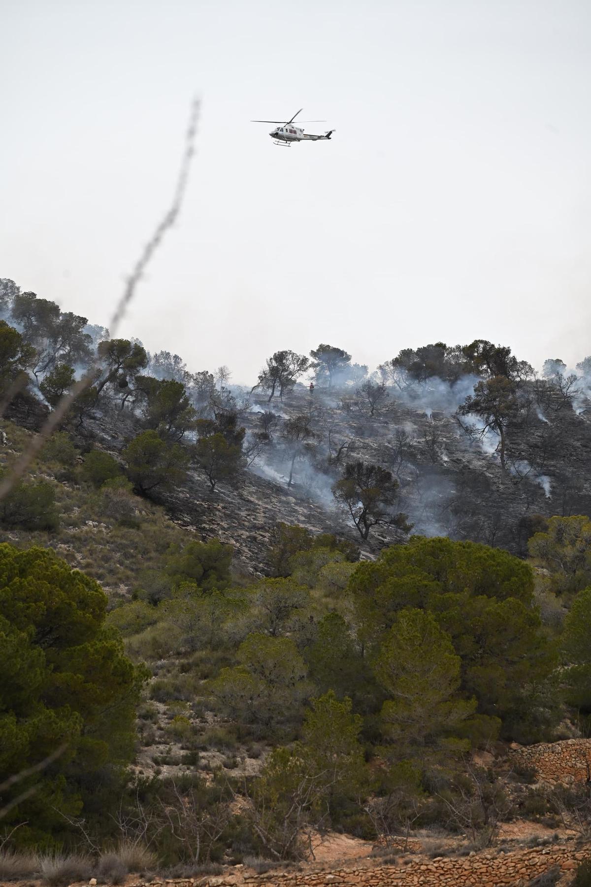 Fuego en Algueña: así está siendo el operativo para la extinción