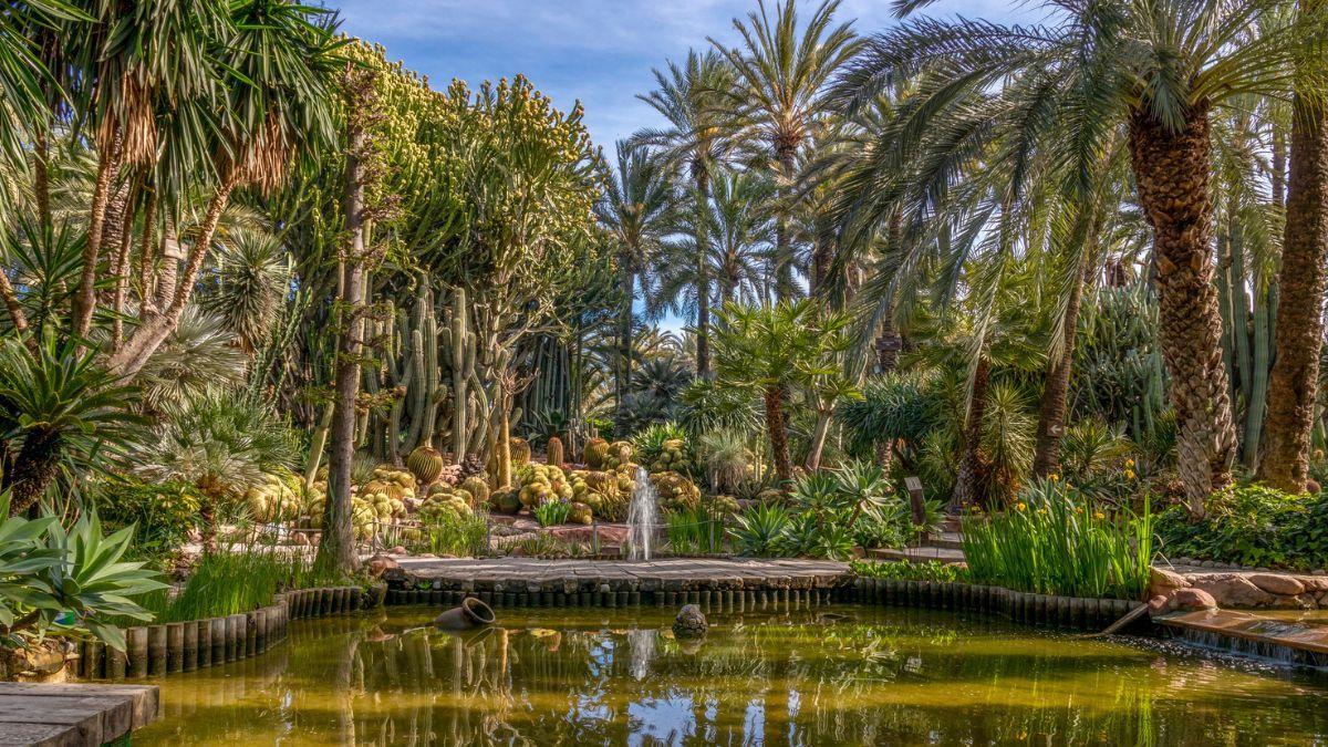 El paisaje español con un árbol único en el mundo declarado Patrimonio de la Humanidad