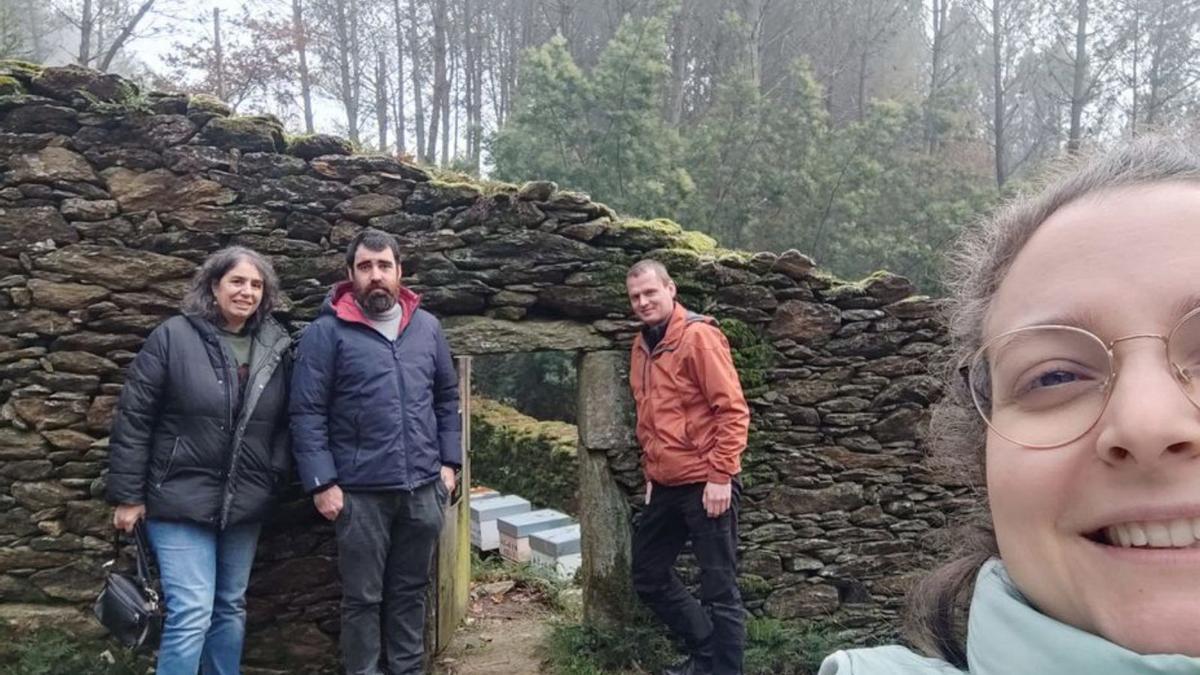 Interés por la miel lalinense Interés por la miel lalinense