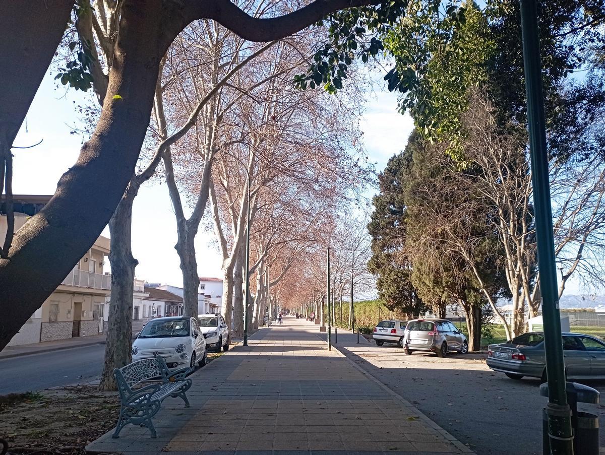 Vista general del paseo Francisco Flores Prado, la pasada primavera.