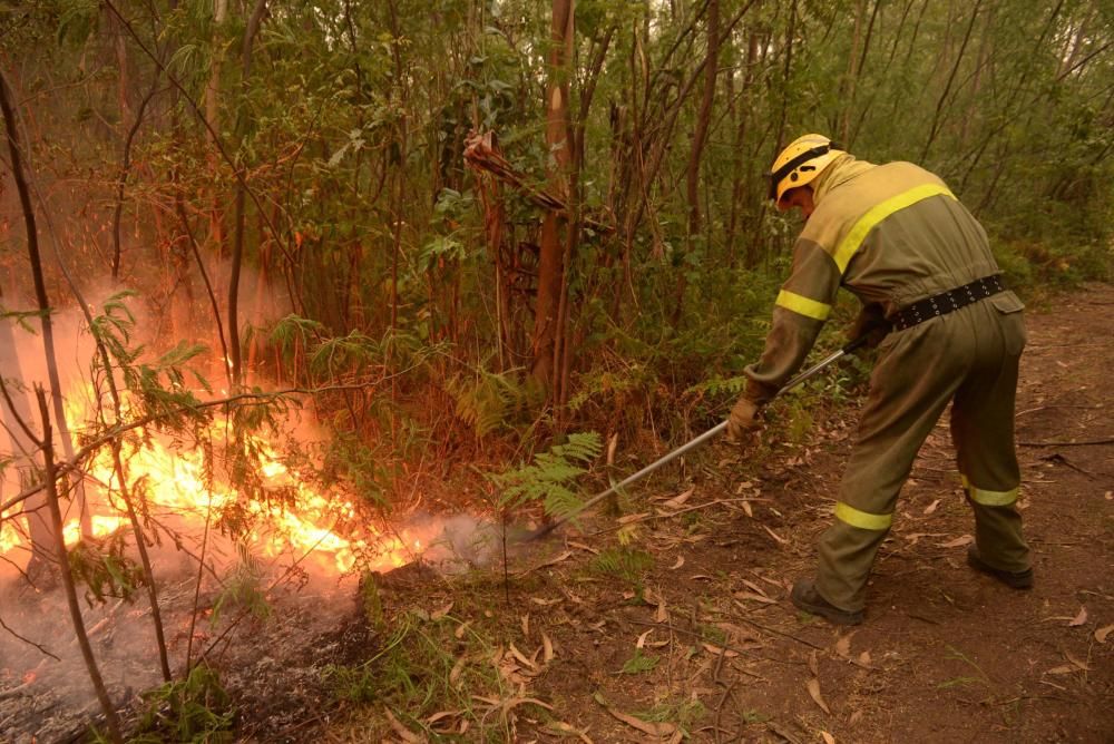 El fuego arrasa 6.000 hectáreas en Galicia