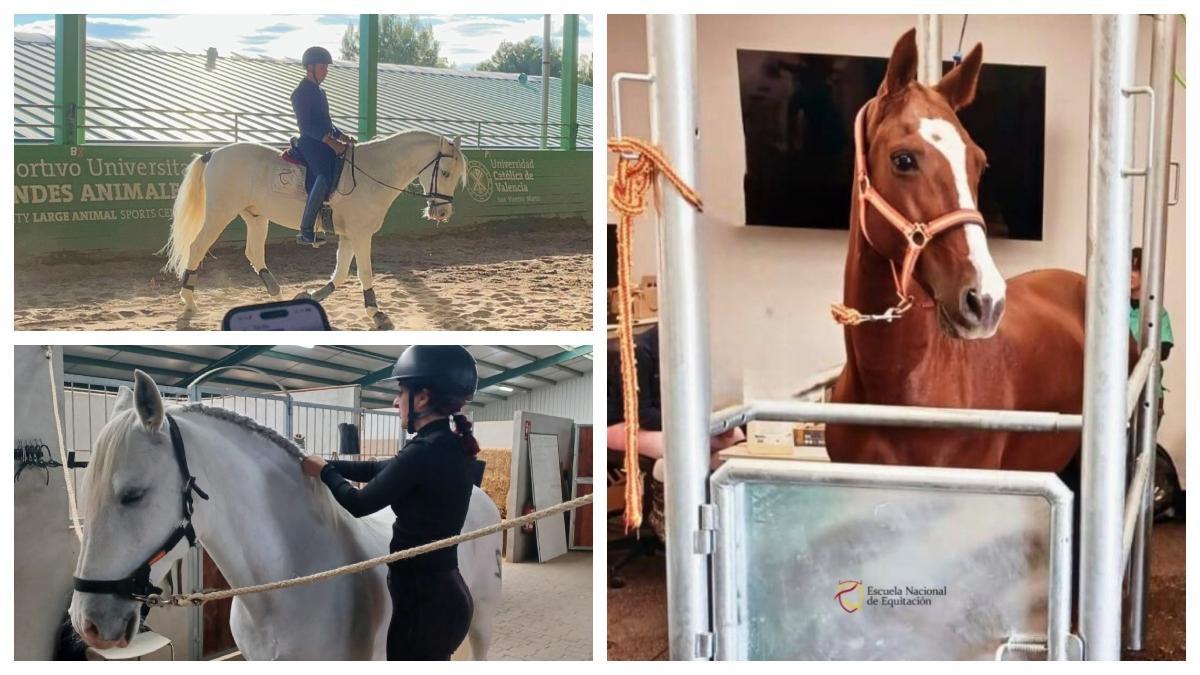 Jinetes se forman en el Centro Hípico de Segorbe.