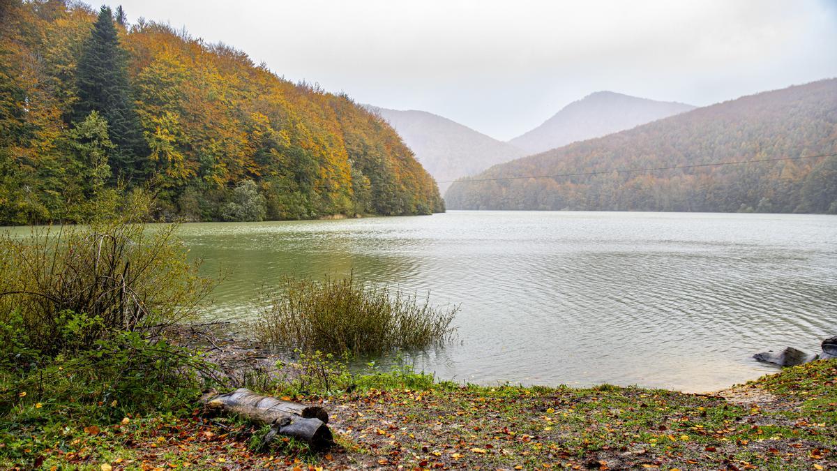 El bosque de hayas y abetos junto al nacimiento del río Irati