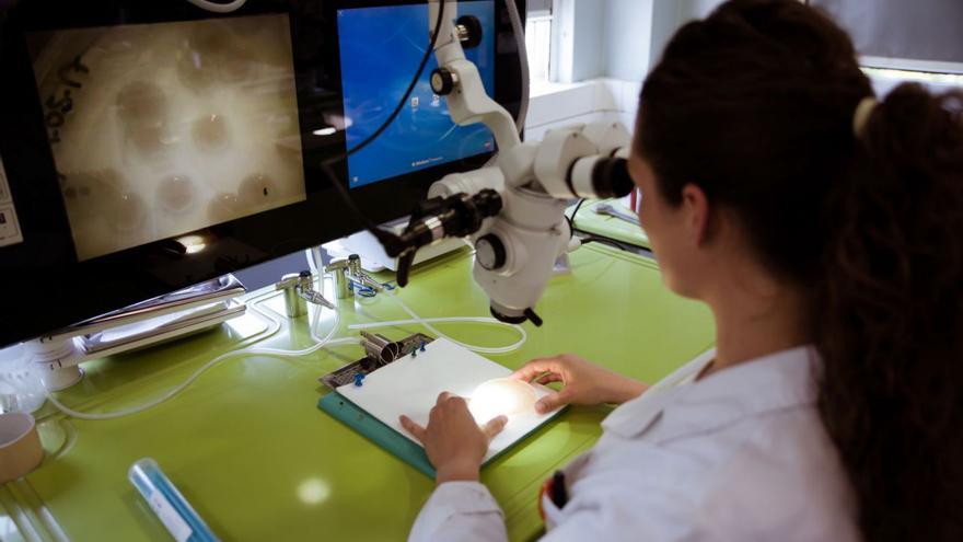 Una científica, trabajando en el laboratorio. // Foto cedida por La Fundación “la Caixa”.