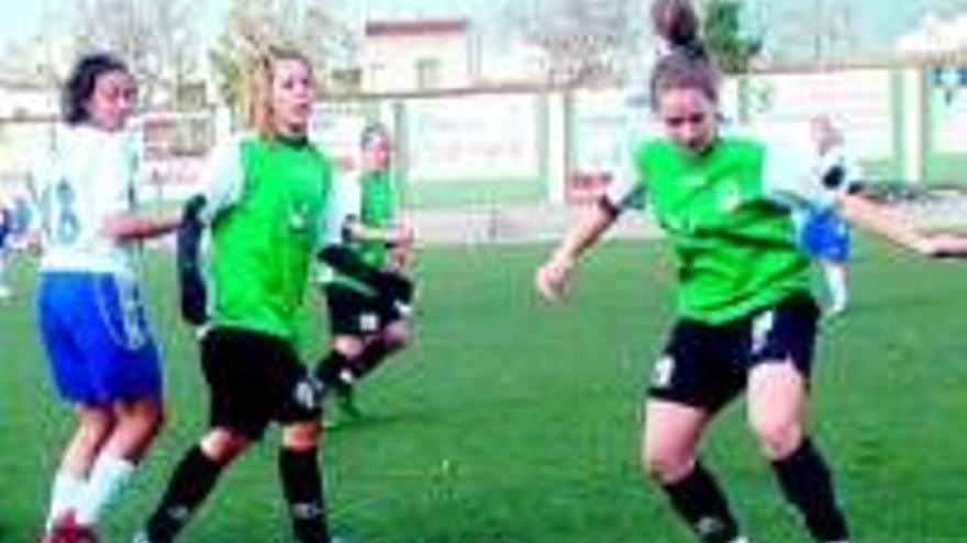 El Extremadura femenino se hace fuerte en el polideportivo