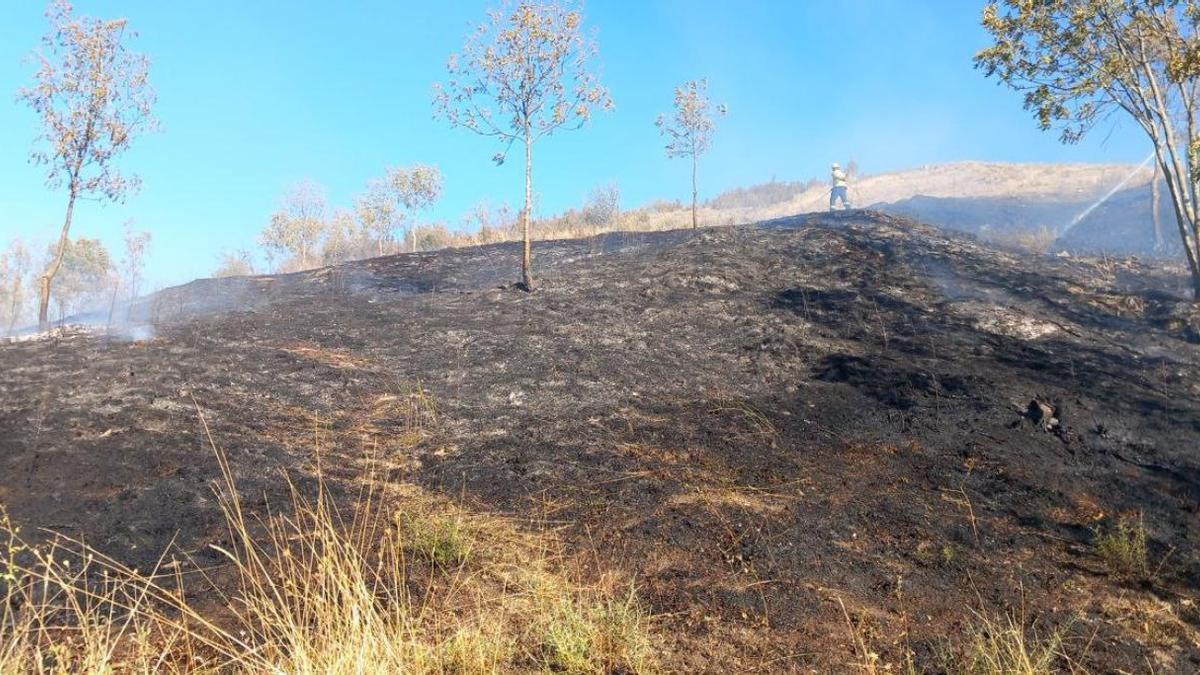 Un incendi a Fontanals de Cerdanya crema vegetació forestal